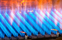 Coed Y Garth gas fired boilers